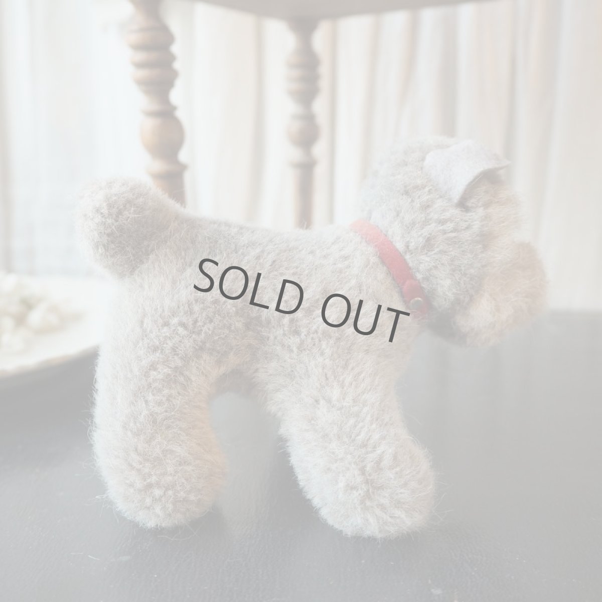 画像5: シュタイフ社ふわふわのシュナウザー/赤い首輪レアな子犬 (5)