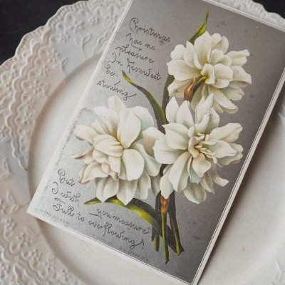 画像1: ヴィクトリアン　クリスマスカード/白い花束