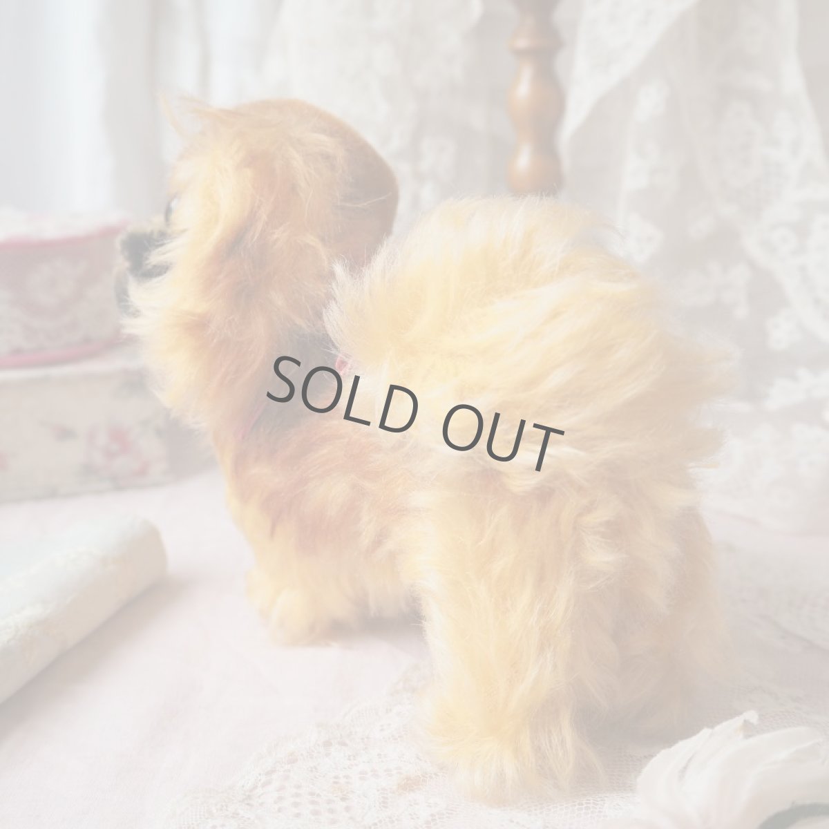 画像2: シュタイフ社製　犬の縫いぐるみ/ペキニーズ (2)