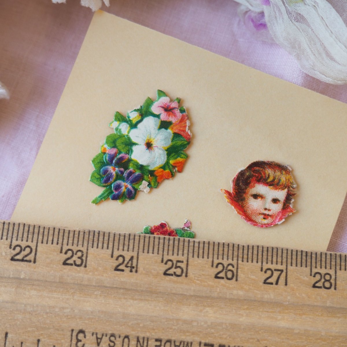 画像3: 小さなクロモ、ミニセット/黄色い台紙に5点 (3)