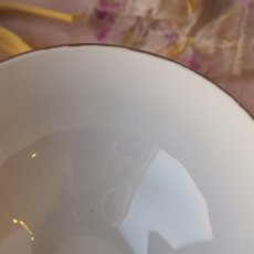 画像6: 小さなカフェオルボウル、スミレの花柄 (6)